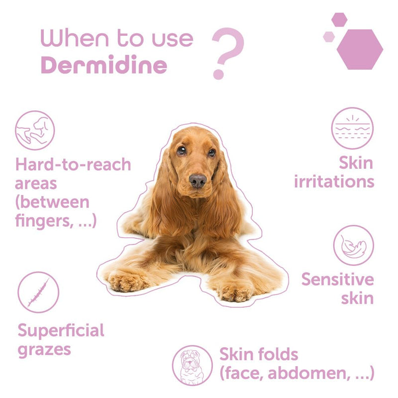 Dermidine antiseptique pour chien et chat - Spray de 60 ml