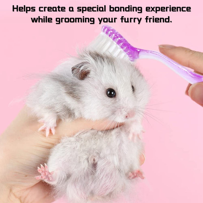 3 Pack Hamster Brush - Small Animal Bath Brush with Lid Soft Cleansing Brush Massage Combs for Hedgehog Guinea Pig Rabbit Chinchilla Ferret Small Animal Grooming Tool Cleaning Supplies (3 Pack) 3 Pack - BeesActive Australia