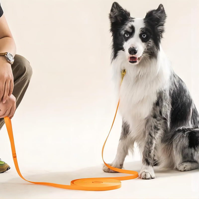 Heavy Duty Recall Great for Training Dog Leash with Swivel Lockable Hook and Comfortable, for Walking, Hunting, Camping, Backyard for Small Medium and Large Dogs Waterproof Black 10FT - BeesActive Australia
