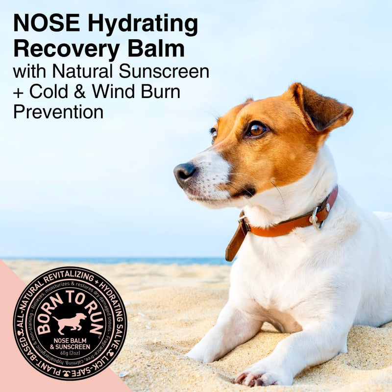 Born To Run Dog Nose Balm | Dry Cracked Chapped Snout Soother | Moisturizes Heals Natural Sunscreen & Cold Winter Protection | Hyperkeratosis Relief Plant-Based Fragrance-Free Lick Safe Nose Cream 2oz - PawsPlanet Australia