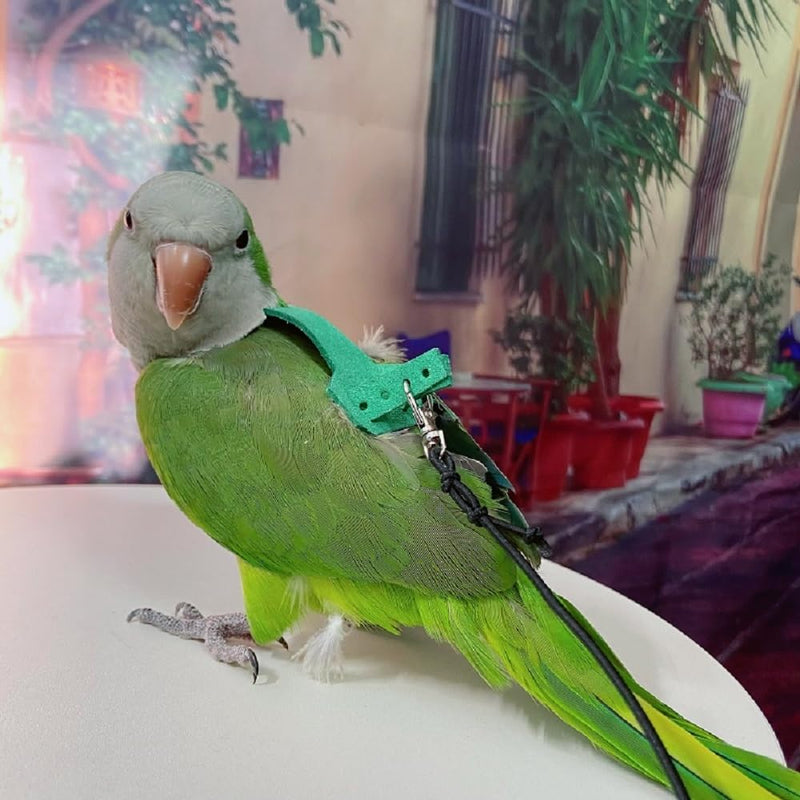 PARREN Bird Flight Harness Vest, Parrot Flight Suit with Leash for Parakeets, Bird Flying Clothes with Rope and Handle for Outdoor Activities Training, Anti Bite (M), Green M