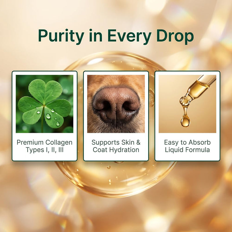 Tryclover Premium Liquid Collagen for Dogs, Hyaluronic Acid & Vitamins C for Skin Barrier, Coat & Joint Support, 60ml/2floz (1pcs) 2 Fl Oz (Pack of 1)