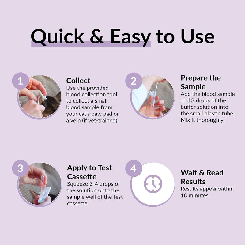 getTested Cat Blood Typing Test – Rapid Test for Feline Types A, B & AB – At-Home Kit with Results in 5–10 Minutes – Simple & Easy to Use