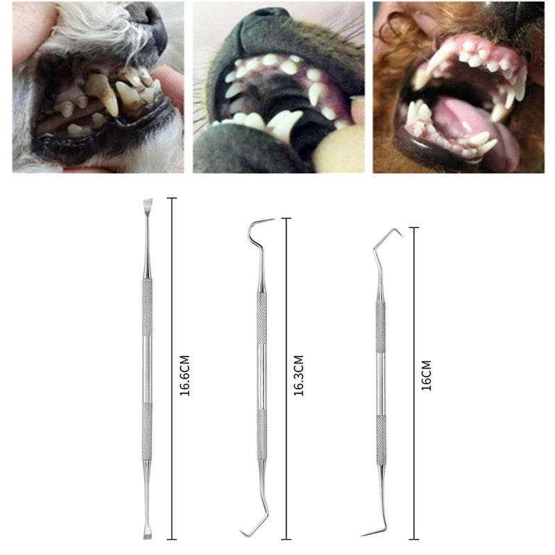 Elionless Pet Tooth Scaler Cleaning Set, 3 Pieces Stainless Steel Tartar Remover Plaque Remover for Dogs Cats - BeesActive Australia