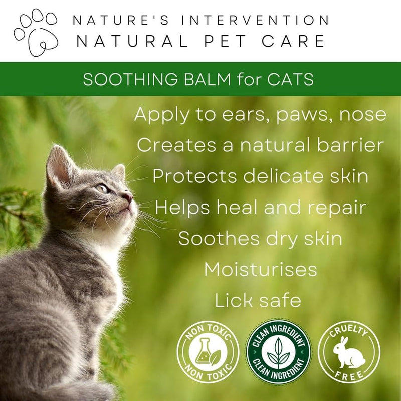 NATURE'S INTERVENTION 100% Natural Soothing Balm for Cats – 50ml – Essential Oil-Free – Beeswax, Shea & Chamomile – Gentle Paw & Skin Butter – Lick-Safe & Non-Toxic – Recyclable Aluminium Jar
