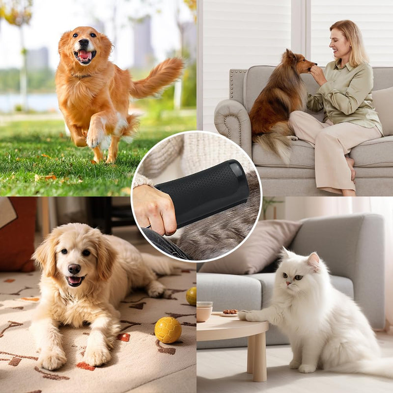 Groomify Pet Care Brush, Groomify Brush Dog, Pet Deshedding Brush with Pet Bath Brushes, Waggytails Brush, Paw Star Dog Brush, Pet Hair Removal Grooming Brush For Cats And Dogs - BeesActive Australia
