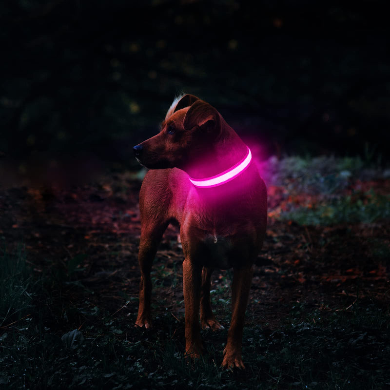 MASBRILL Dog Collar Luminous Rechargeable LED Light Collar Waterproof for Small Medium Large Dogs Adjustable Flashing Light Safety Collar with 3 Lighting Modes Pink - M M(38-50cm/15-19.7inch) Pink(TC5200) - BeesActive Australia