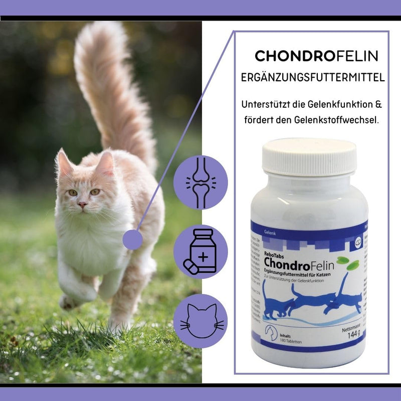 ChondroFelin joint support chewable tablets for cats: with green-lipped mussel, devil's claw, chondroitin sulfate & MSM, 180 pieces - BeesActive Australia