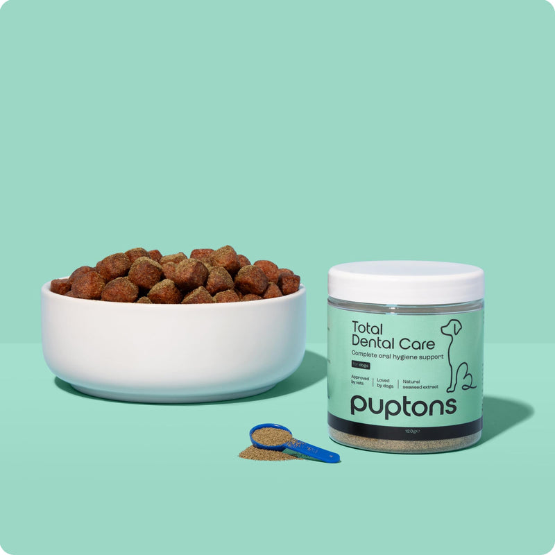Puptons Total Dental Care for Dogs | Tartar & Plaque Off Powder - No Brushing | Supports Oral Hygiene & Treats Gum Disease | Treatment for Bad Breath & Removes Plaque | Measuring Scoop Included, 60g 60 Grams