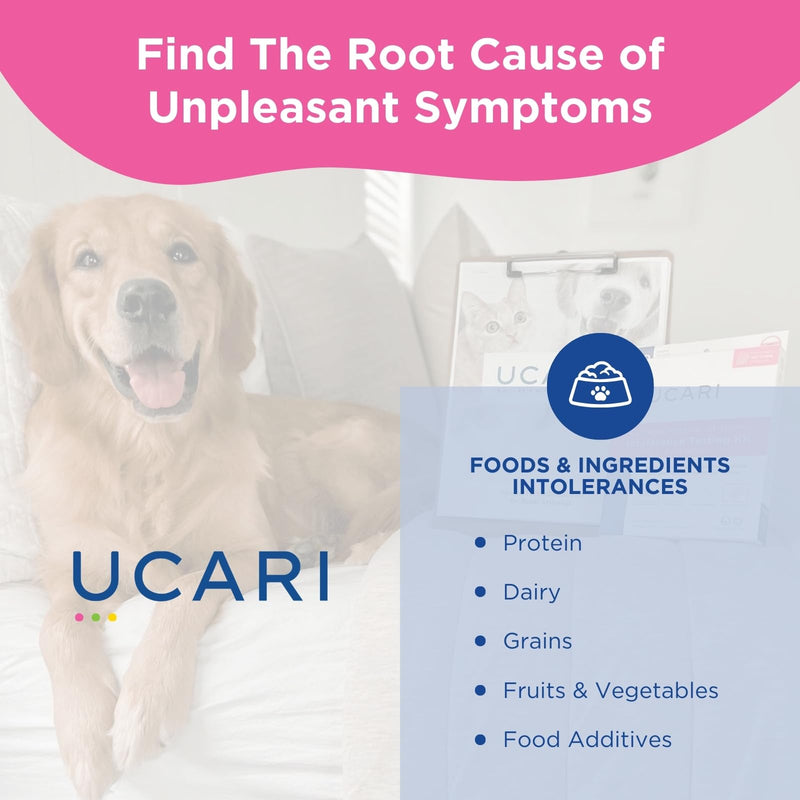 UCARI Pet Sensitivity Test | Screens for 350+ Intolerances | Food & Ingredients Analysis | Painless Home Test Hair Sample Method | Results in 48 Hours | Cats & Dogs Introductory