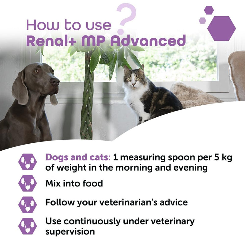 Renal+ MP Advanced for Dogs & Cats - Daily Kidney Support with B-Vitamins, Potassium & Omega-3 – Helps Maintain Renal Function & Vitality – Sprinkle Capsules