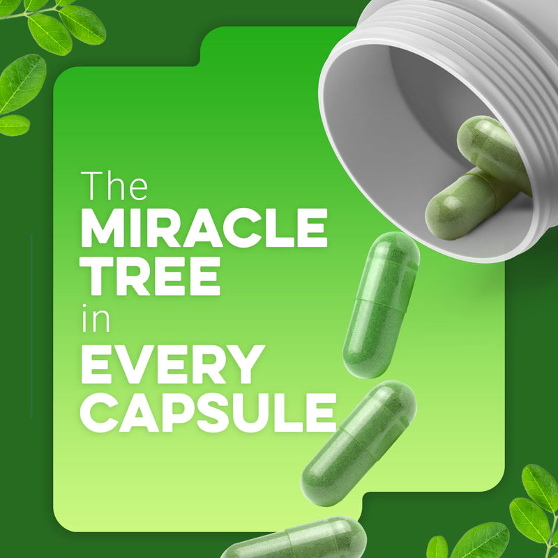 Moringa Capsules 800mg – Pure Moringa Powder Capsules Superfood for Energy, Immunity, Skin, Joint, Gut Health — Daily Nutrition & Wellness Supplement — Vegan, Non-GMO, USA Made (45-Day Supply)