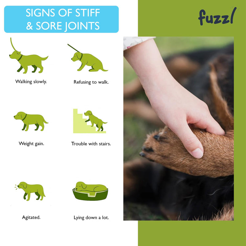 Fuzzl Joint Care Supplement Chews Max Strength - Hip and Joint Aid with Glucosamine for All Dogs including Senior Dogs - 60 Chews Dog Joints Supplement Science Backed, UK Made, Vet Approved Joints 60s