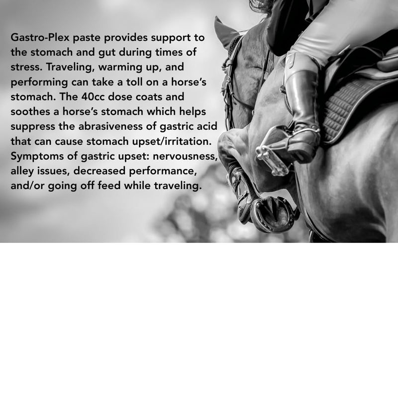 MVP Gastro-Plex Paste (2 dose tube) Gastric Stress Relief Paste for Horses
