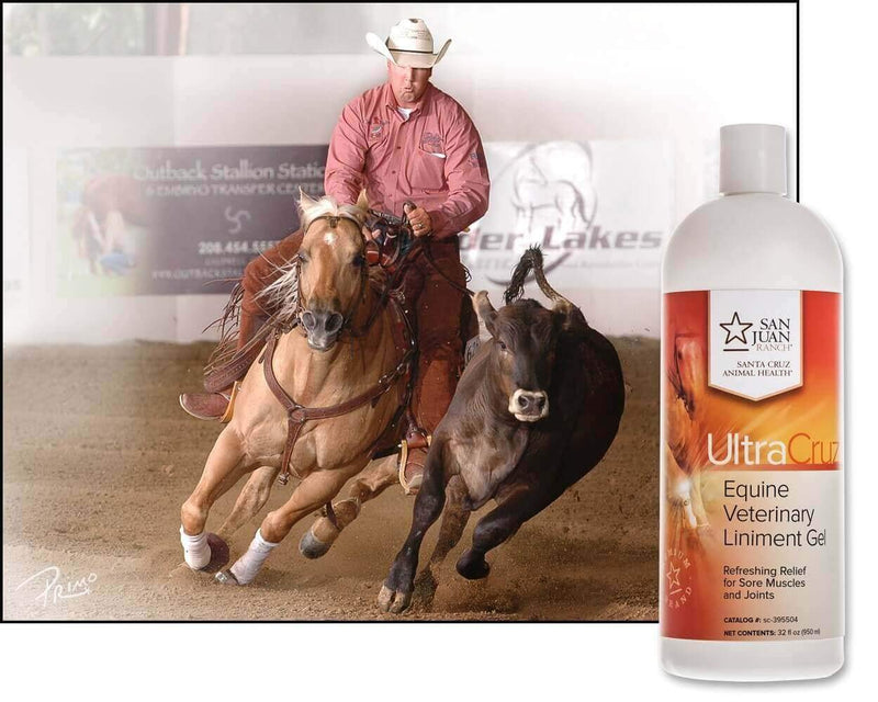 UltraCruz Veterinary Liniment Gel for Horses, 32 oz - BeesActive Australia