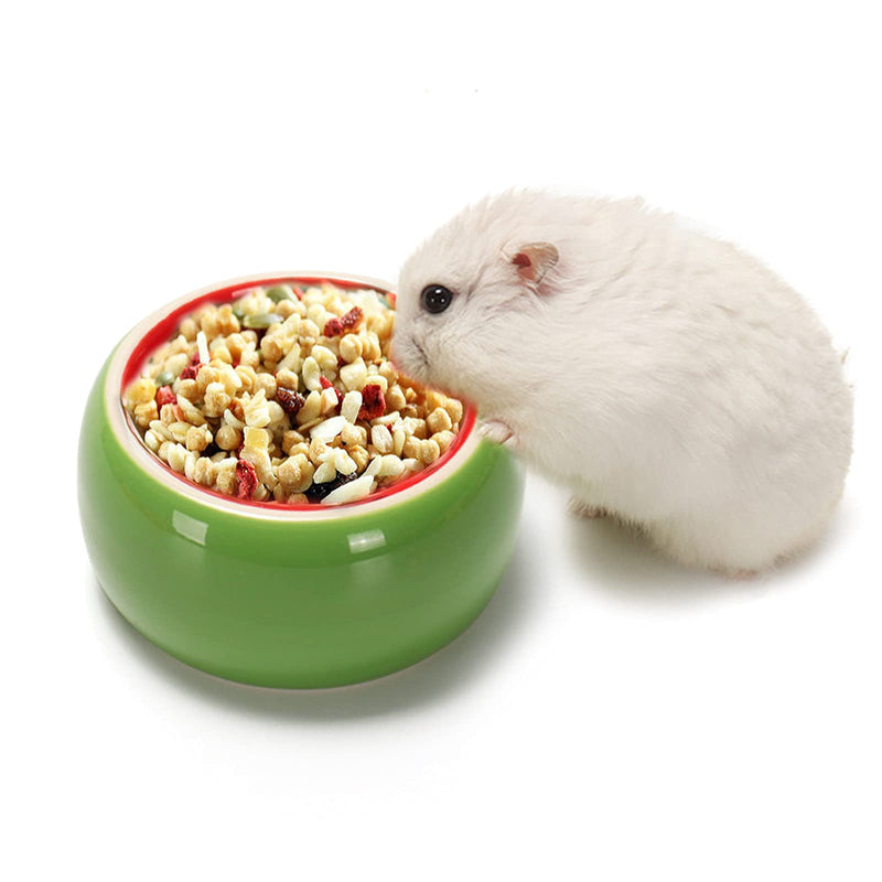 Hamster Bowls Dwarf Hamster Food Bowl Prevent Chewing Hamster Feeding Bowl Guinea Pig Hamster Water Rat Bowl Small Animal Food Dish for Syrian Rabbit Gerbil Chichilla Hedgehog Sugar Glider (2 Pack) Green Orange - BeesActive Australia