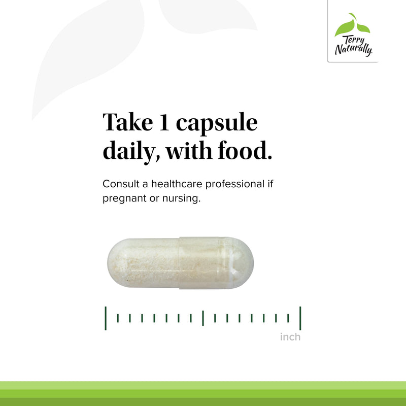 Terry Naturally FloraSure Probiotic - Gut Microbiome Balance - 30 Count | Gut Microbiome Balance and Digestive Comfort Support. 30 capsules.