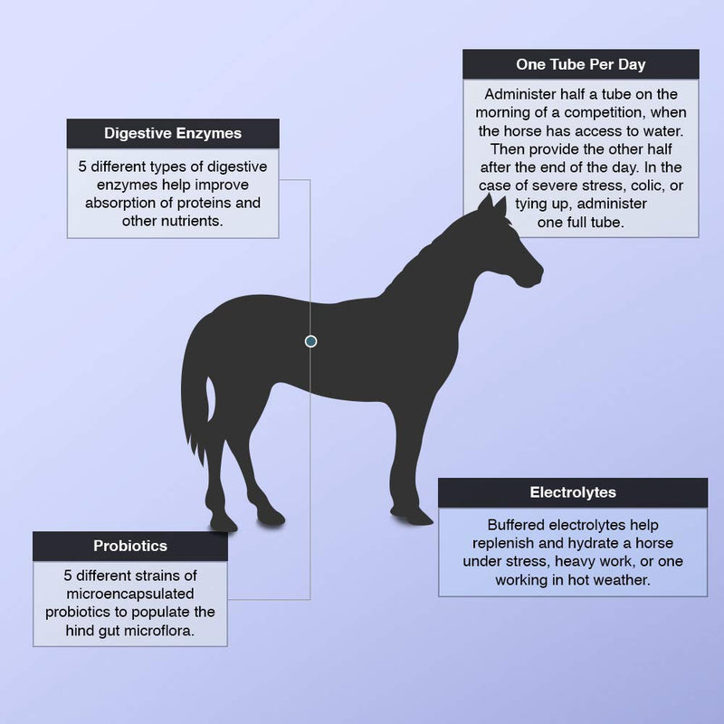 Electro-Probiotic Paste, Quick and Easy Source of Electrolytes and Probiotics for Stressed Horses (30 Grams) - BeesActive Australia