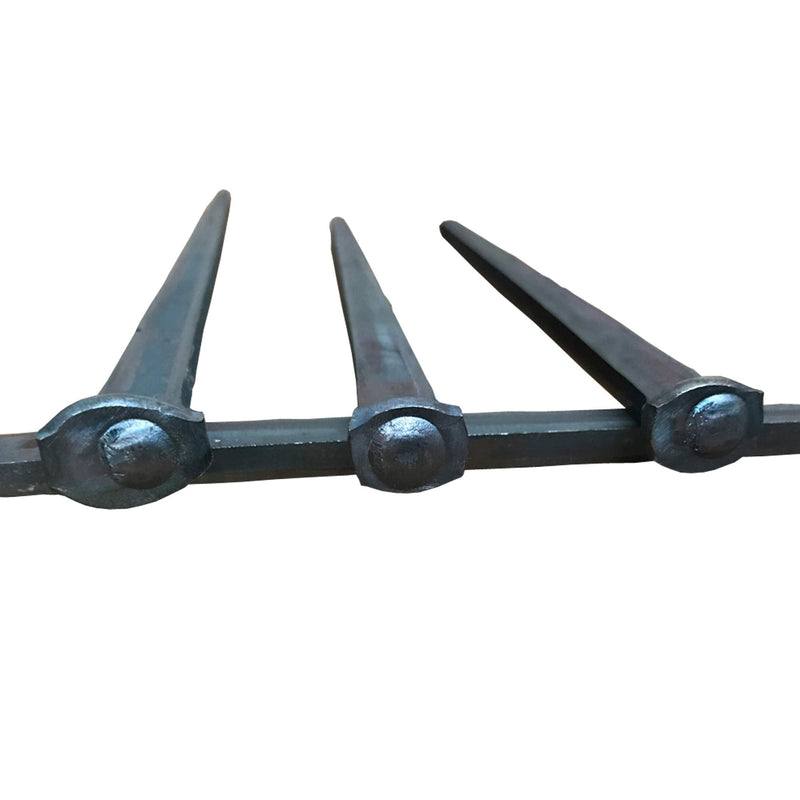6"- Steel Square Common Rose Head STANDARD-60d - Large Spike Nails (5 Nails) - BeesActive Australia