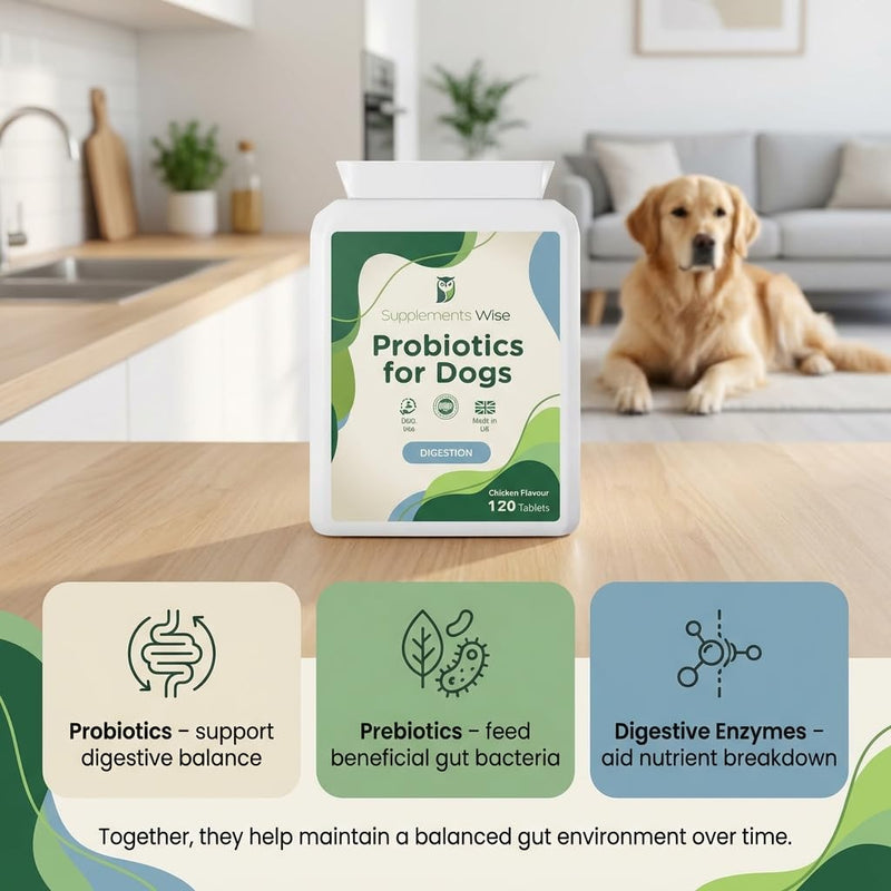 Probiotics For Dogs - Yeast Balance - Dog Probiotic for Gut Health - Dog Supplements for Itch Relief, Diarrhea, Wind, Anal Gland - Tummy Settler - 120 Tablets with Prebiotics and Digestive Enzymes