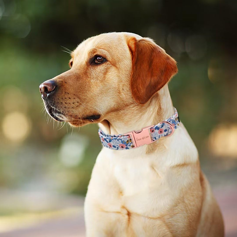 Unique style paws Dog Collar Metal Buckle Red Rose Collar Flower Gift Durable Cute Collar for Small Medium Large Boys Girls Dogs blue flower - BeesActive Australia