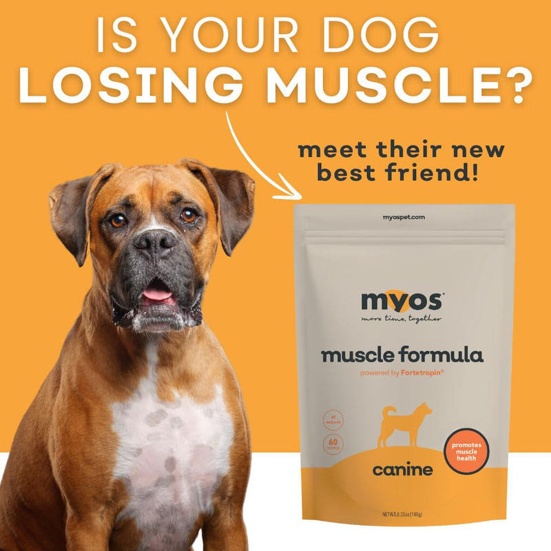 MYOS Canine Muscle Formula - All-Natural Muscle Building Supplement - Helps Reduce Muscle Loss in Aging Dogs and Improve Recovery from Injury or Surgery 6.35oz