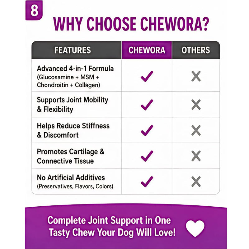 Hip & Joint Dog Chews – 6.3 oz (60 Soft Chews), Natural Beef Flavor, Glucosamine Chondroitin MSM, Collagen & Green Lipped Mussel for Joint Support, Mobility & Stiffness Relief