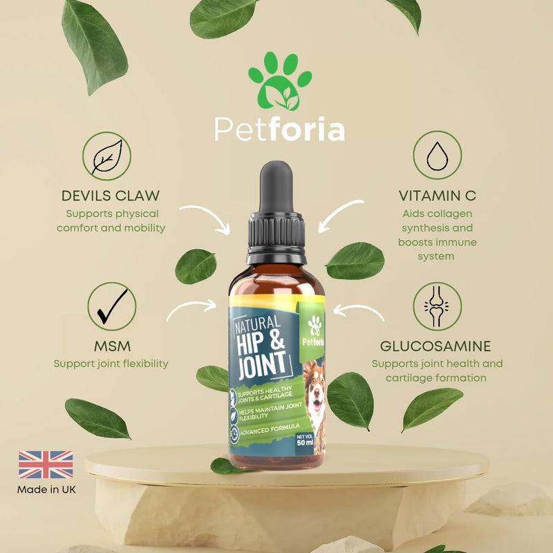 Dogs & Cats Joint and Hip Support Supplement 50ml – Fast Acting Natural Mobility Formula with Glucosamine Vitamin C and Herbal Extracts for Comfort Flexibility and Joint Care Pack of 1