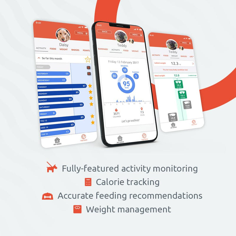 Pitpat - activity monitor for dogs - BeesActive Australia