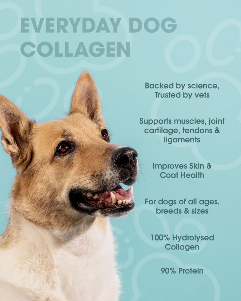 Collagen Powder for Dogs, Vet Approved Hydrolysed Collagen Peptides Supplement for Joints, Skin, Coat, Health, Bioactive Protein Rich Powder for All Ages, Breeds, Sizes Dogs, 150g
