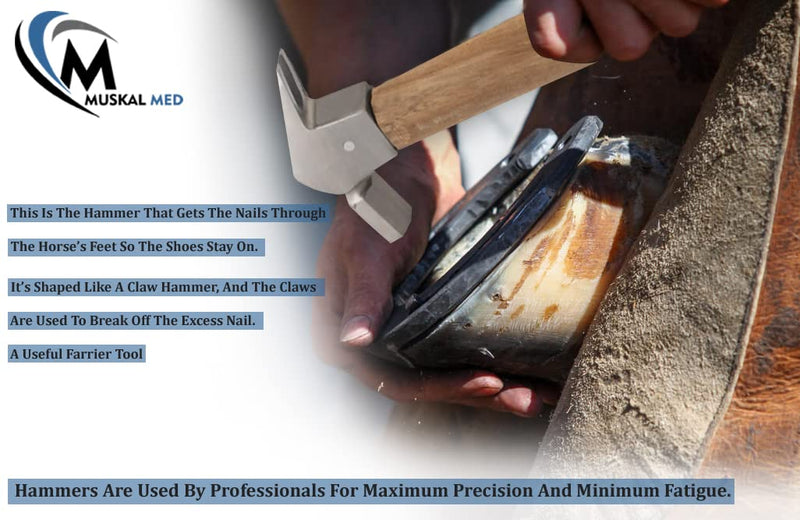 Professional Horse Shoe Hoof Farrier Octagon Nail Driving Hammer Wooden Handle 12oz VT-165 - BeesActive Australia