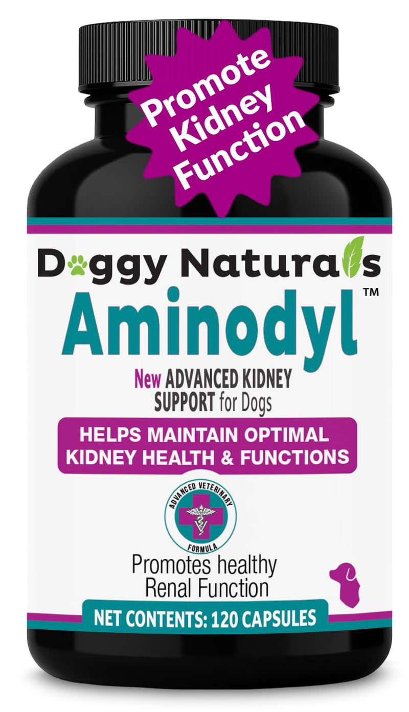 Aminodyl™ Kidney Support Supplement 1100mg for Dogs - Supports Natural Kidney Function with Amino Vastly Promotes Health, Wellbeing & Vitality of Kidneys 120 Sprinkle Capsules. Made in U.S.A Dogs >20lbs (120 Caps) 1100mg