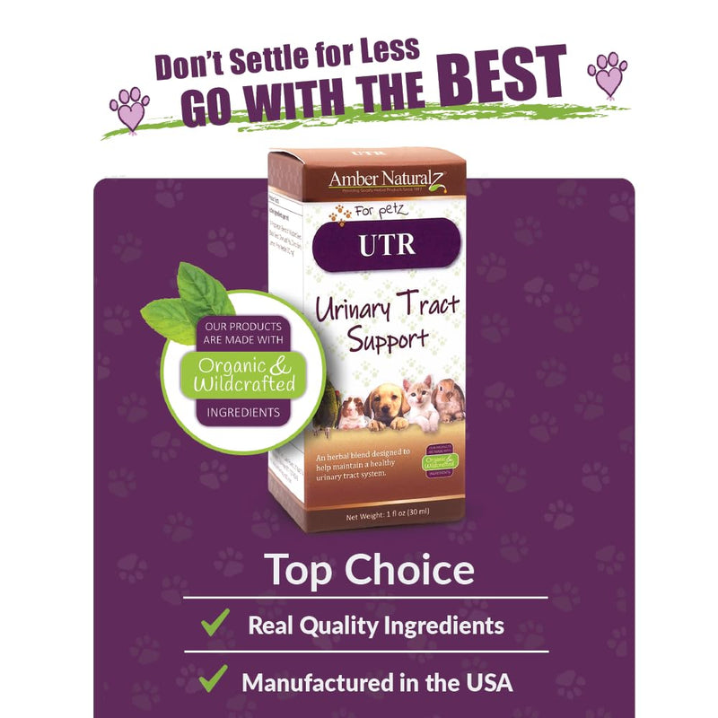 Amber NaturalZ UTR Urinary Tract Herbal Supplement for Dogs, Cats, Birds, Guinea Pigs, and Rabbits | Pet Herbal Supplement for Bladder Support | 1 Fluid Ounce Glass Bottle | Manufactured in The USA 1 Fl Oz (Pack of 1)