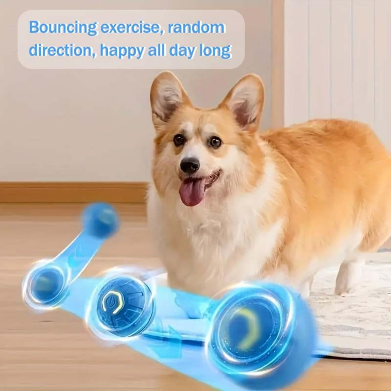 2PCS Shaky Ball for Dogs, Shaky Ball Toy for Dogs, Vibrating Dog Ball, Vibrating Ball for Dogs, Shaky Ball Moving Dog Toy, Automatic Moving Dog Toy Ball, Suitable for All Dogs (Orange+Blue) Mix - BeesActive Australia
