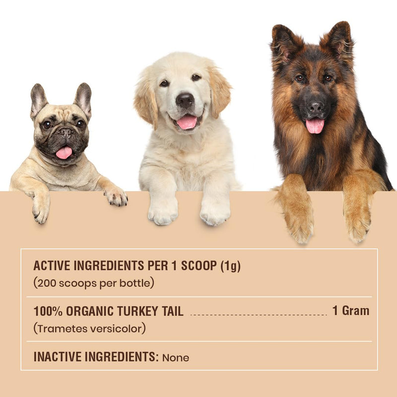 Special Breed Turkey Tail Mushroom for Dogs and Cats - Certified Organic Turkey Tail Powder, Canine Immune Support, 200 Grams - PawsPlanet Australia