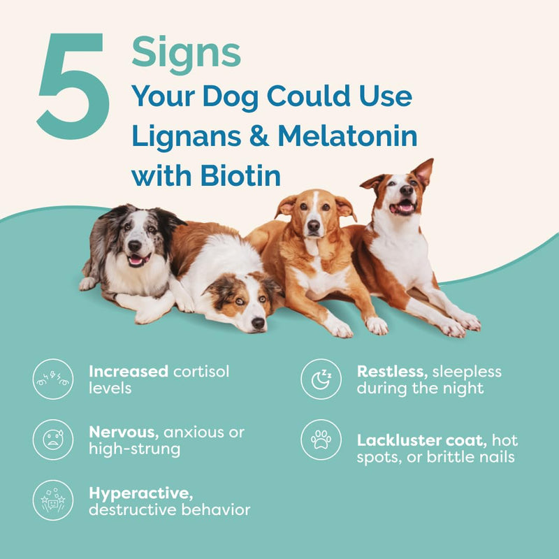 PranaPets Lignans & Melatonin with Biotin Blend Naturally Aids in Relieving Symptoms of Cushing’s in Dogs Over 25 lb | Promote Healthy Balance & Overall Well-Being Over 25 lb (w/ Biotin)