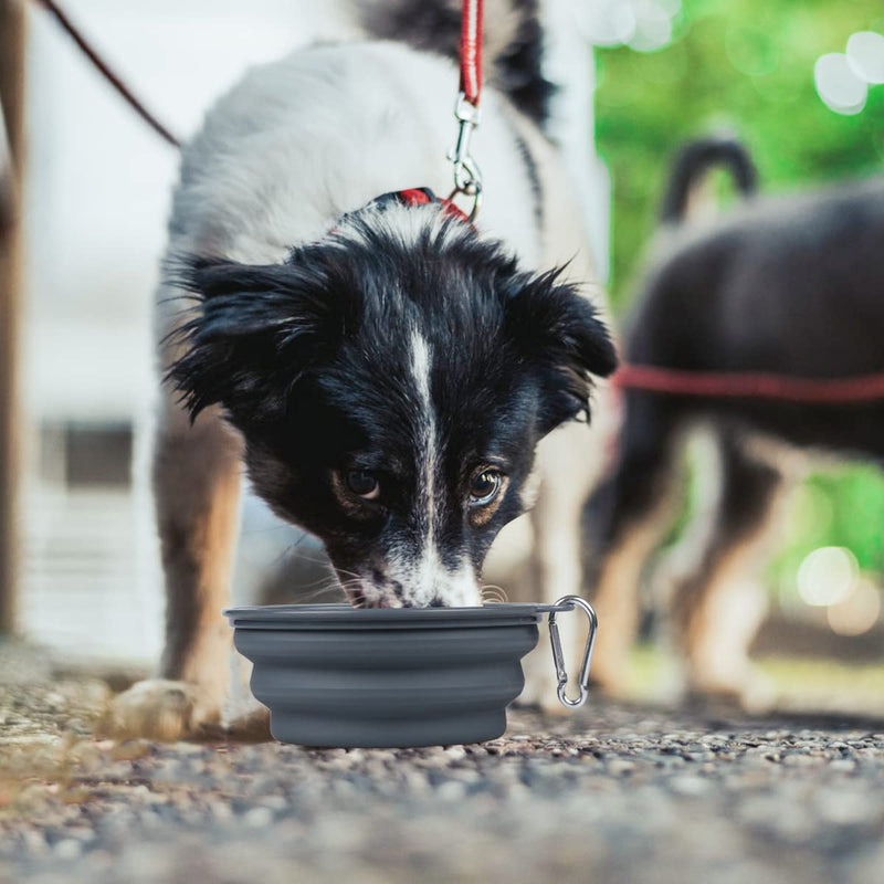 Kytely Collapsible Dog Bowls Medium (650ml), 2 Pack Travel Dog Bowls for Dog Cat, Portable Dog Water Food Bowl with Clasp, Pet Cat Feeding Cup Dish for Outdoor, Travel, Walking, Parking Lake Blue & Grey - BeesActive Australia