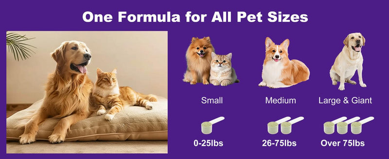 Probiotic Dog Dental Powder (180g) - Advanced Plaque & Tartar Remover for Dogs and Cats - Fresh Breath Oral Care Supplement - Professional Grade Teeth Cleaning - No Brush Formula