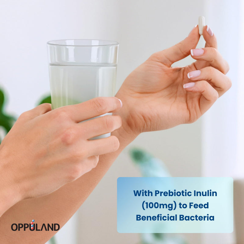 AKK Pro - Akkermansia Muciniphila Probiotic Supplement – Daily Microbiome Support with Prebiotic Inulin & Vitamins – 60 Days of Extra Strength Nourishment