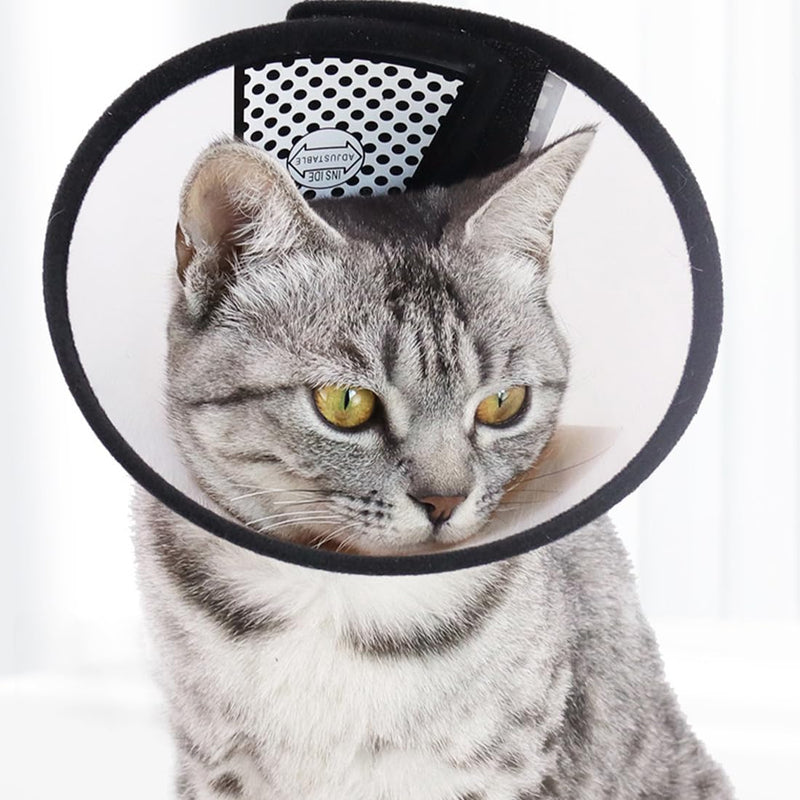 PHCOZY 1 Neck Collar for Pets Plastic Elizabethan Plastic Elizabethan Collar Soft Cat Protective Collar Lightweight Elizabethan Collar for Kittens Puppies XS (18-22 cm) - BeesActive Australia
