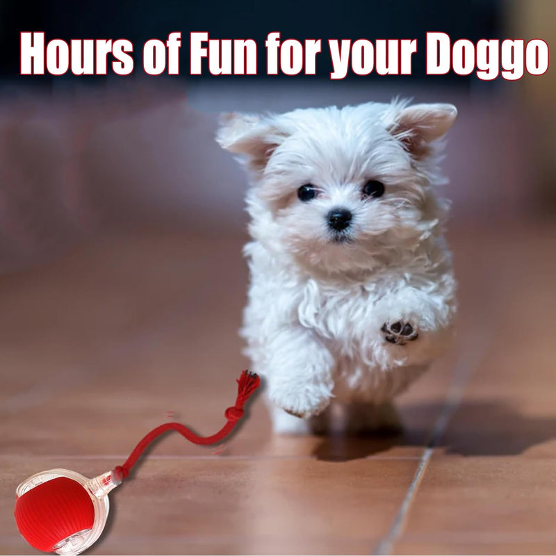 Interactive Rolling Dog Ball, Interactive Rolling Ball Dog Toy, Chewie Viral Rolling Ball, Active Rolling Ball for Dogs, 360° Smart Automatic Rolling Pet Ball(Red) (Red) Red - BeesActive Australia
