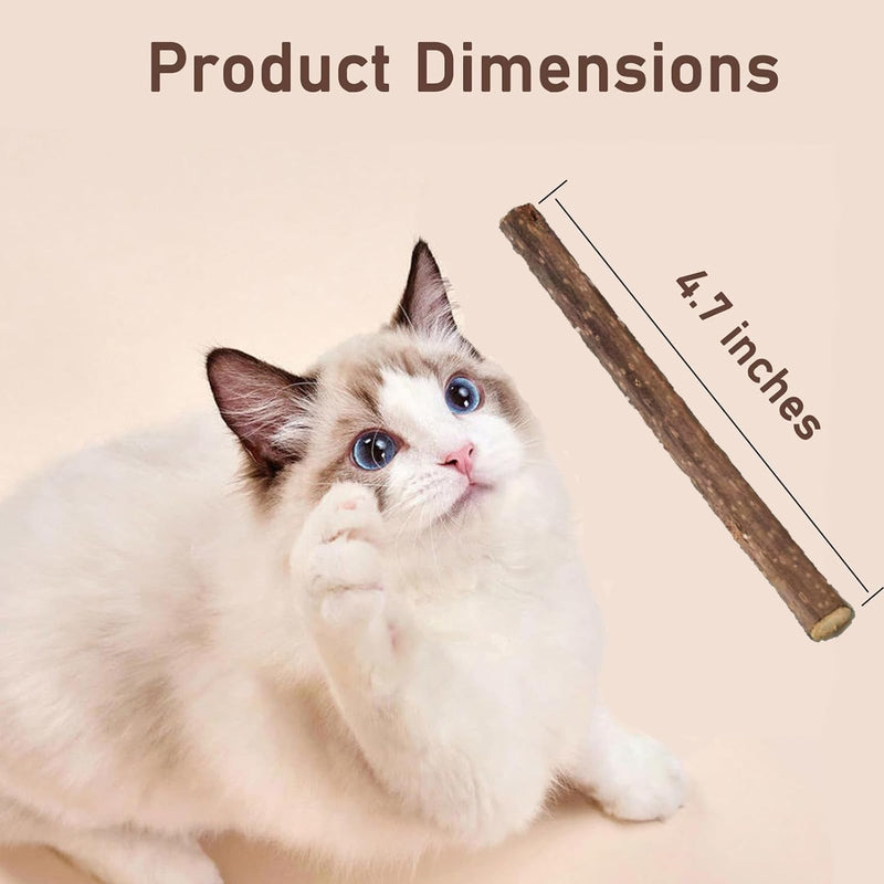 50 PCS Catnip Sticks For Cats, Cat Dental Chew Sticks, Matatabi Cat Dental Care, Silvervine Cat Teeth Cleaning Dental Sticks, Kitten Teething Toys for Indoor Cats 50 pcs