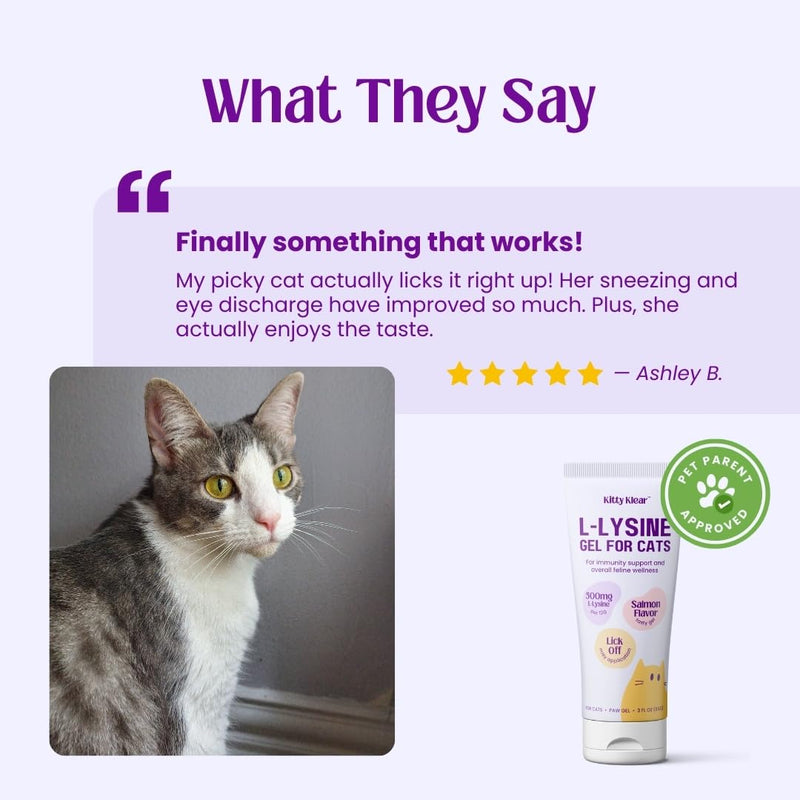 L-Lysine Gel for Cats - 500mg Cat Vitamins Supplement for Immune, Respiratory & Eye Support - Salmon Flavor, Easy Paw Application Gel