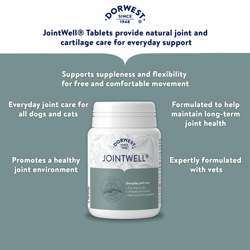 Dorwest JointWell 100 Tablets for Dogs & Cats – Natural Dog Supplements to Support Joint Mobility and Comfort, with Glucosamine, Chondroitin, Zinc, Vitamin C and Hyaluronic Acid