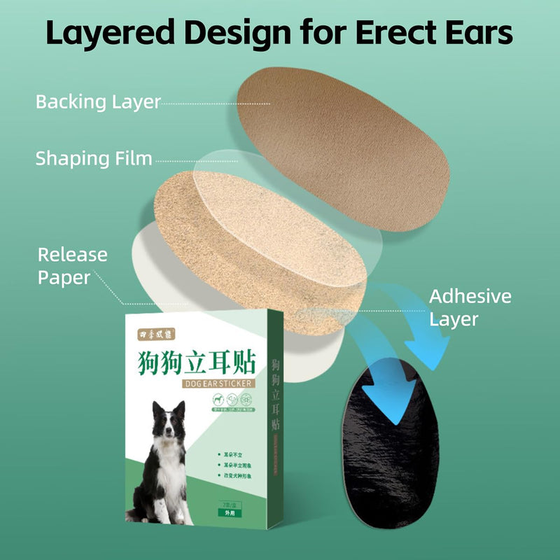 MANON ROSA Dog Ear Posting Kit for Doberman Pinschers - Ear Stand Up Support Tool with Tape for Ear Correction and Vertical Hold (2-Pack) 2-Pack - PawsPlanet Australia