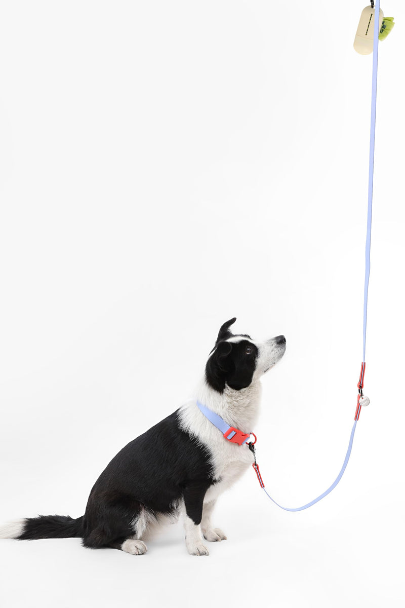 WLK1006E-5SET Luna Large 8FT Adjustable 6-in-1 Waterproof Hands-Free Leash and Collar with LED Flashlight, Bag Dispenser, and Poop Bag Holder, Sangria Periwinkle/Red Large (Up to 80 lbs) - BeesActive Australia