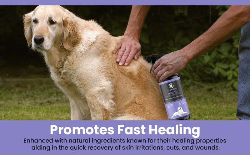 EcoValley Anti-Itch Wound Spray for Dogs – Soothing Relief for Irritated Skin & Fast Healing, Promotes a Healthy Coat, 500ml 500ml (Pack of 1)