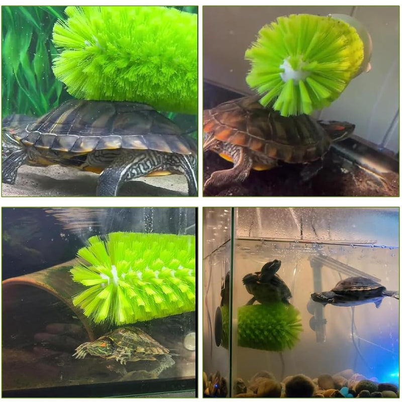 Turtle Brush with Suction Cup for Tank Scratches Back Brush Shell Cleaning Brush Scrub Red Eared Slider Turtle Exfoliate Brush for Remove Turtle Shell Scutes (Grey) Gray - BeesActive Australia