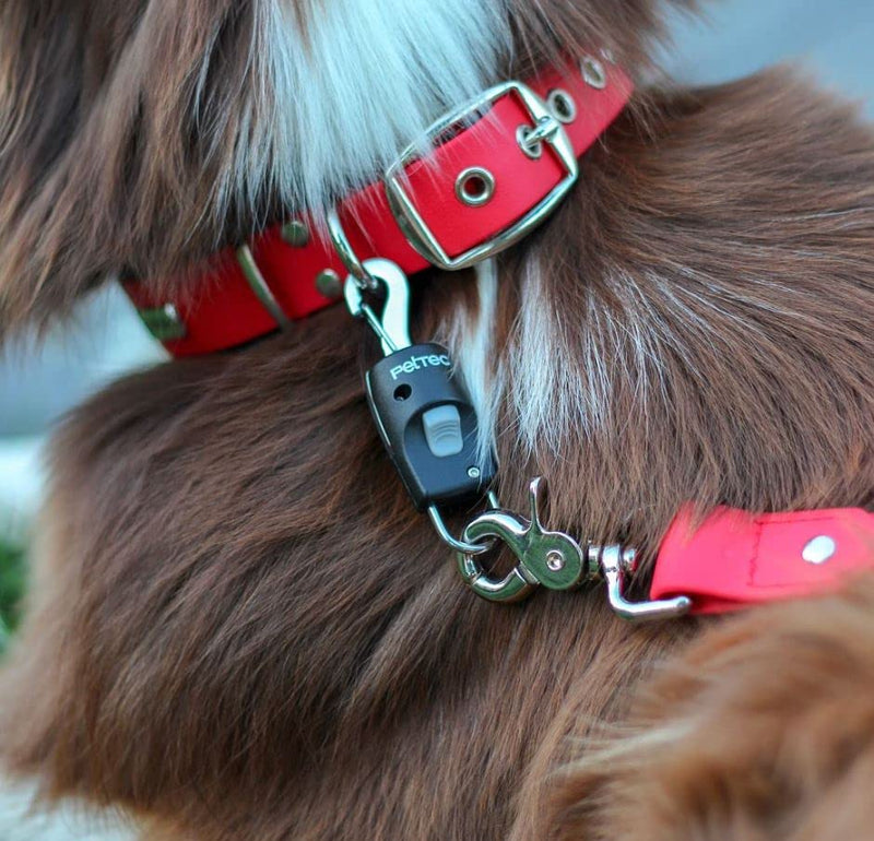 PetTec leash click system | Magnetic closure for dog leash & dog collar for quick putting on and taking off the leash | Magnetic leash dog Anleinfix | Magnet click system fix rustproof black - BeesActive Australia