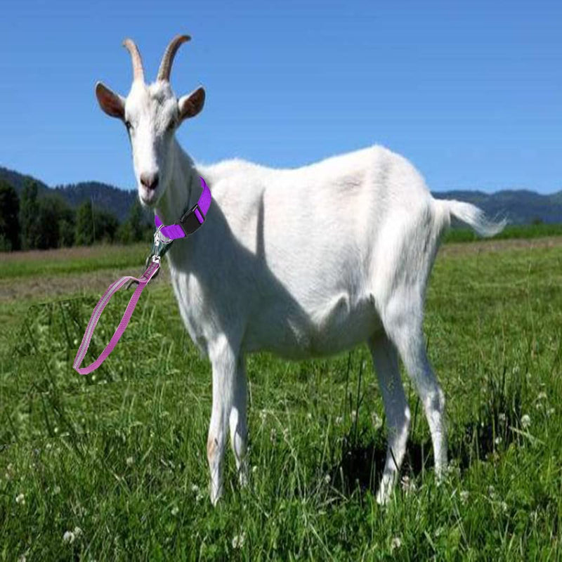 4 Pieces Goat Lead and Goat Collars Set, Nylon 11 inch Goat Lead with Reflective Strip Design and Nylon Goat Collar for Small Farm Animal Goat Cow Horse Sheep (Blue) Blue - BeesActive Australia
